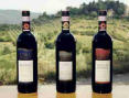 Colle-Lungo Wine