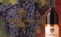 Echeverria_wine